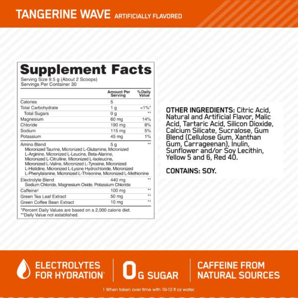 (Bundle!) Gold Standard Isolate Chocolate + Amino Electrolytes - Image 7