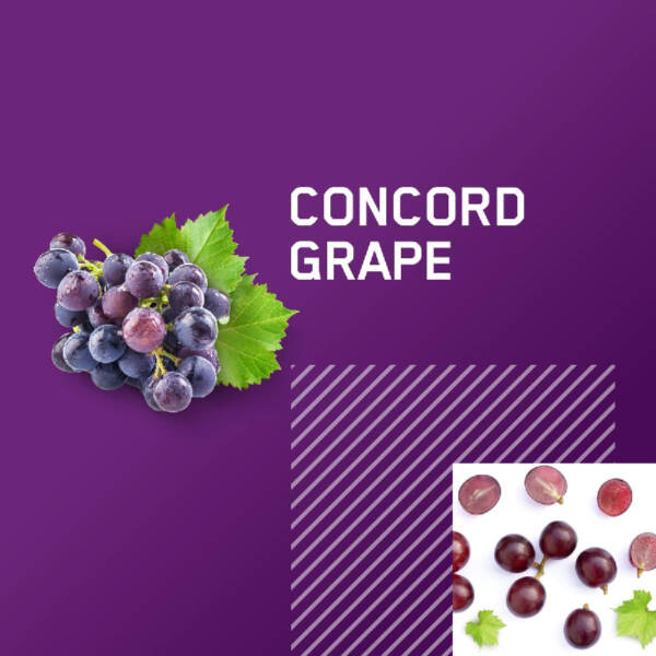 (5 FREE 5) OPTIMUM Amino Energy Sachet - Grape - Image 3